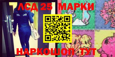 стафф Заволжье
