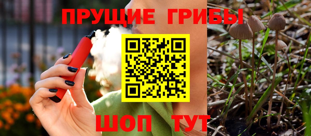 Ликино-Дулёво  Псилоцибиновые грибы Psilocybine cubensis  Галлюциногенные грибы Psilocybine cubensis  где купить наркоту  Вход с VPN 